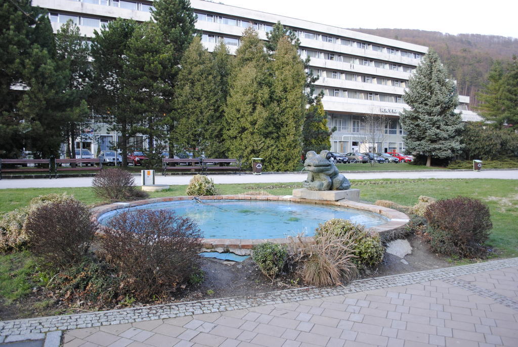Apartmán Pikk Trenčianské Teplice Pokoj fotografie